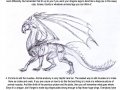 Alecan__s_Dragon_tutorial_by_Black_Dragon_Club.jpg